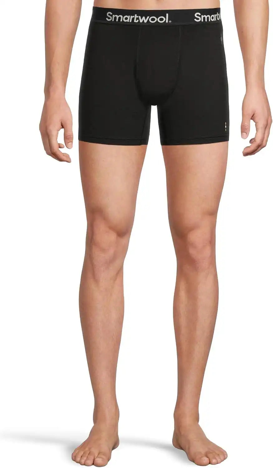 Smartwool Men's Boxer Brief