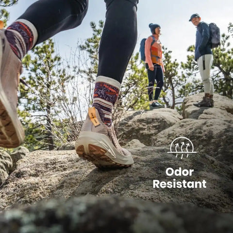 Smartwool Men's Run Zero Cushion No Show Socks