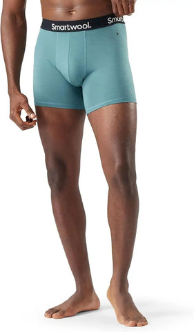 Smartwool Men's Everyday Merino Boxer Brief Boxed
