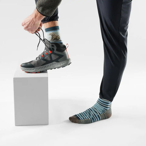 Smartwool Men's Hike Targeted Cushion Bear Stripe Mid Crew Socks