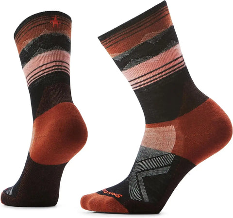 Smartwool Women's Bike Targeted Cushion Cold Weather Crew Socks