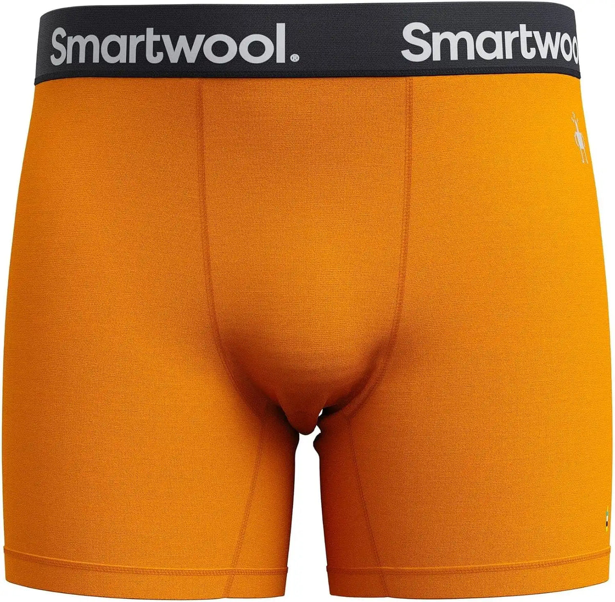 Smartwool Men's Active Boxer Brief Boxed